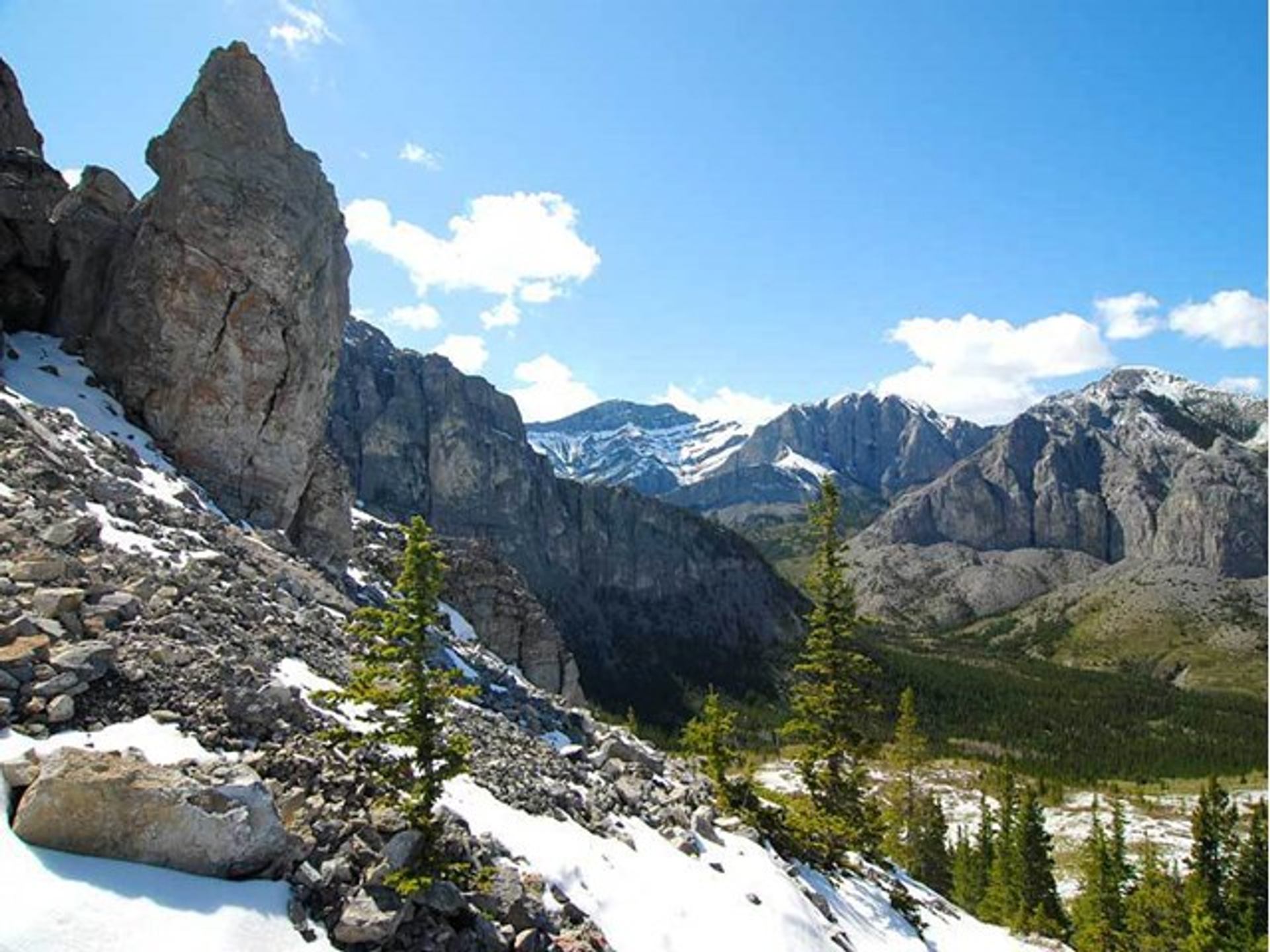 Landscape view of Bow Valley Park.