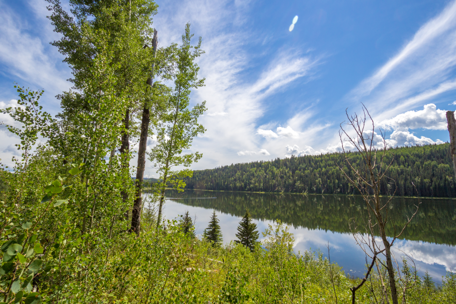 Jackfish Lake