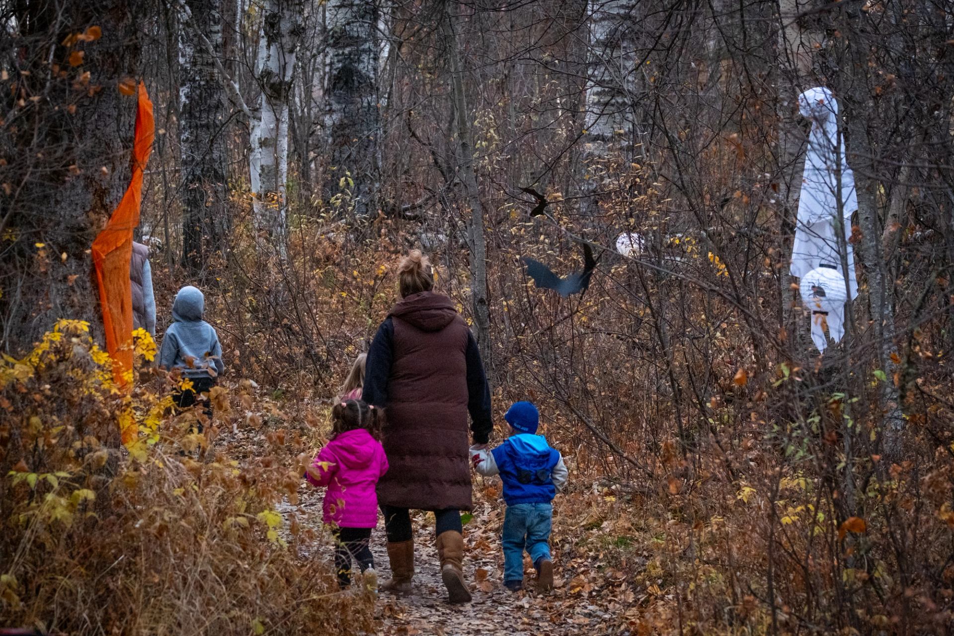 People walk along a forest trail decorated with hanging ghosts and bat cutouts.