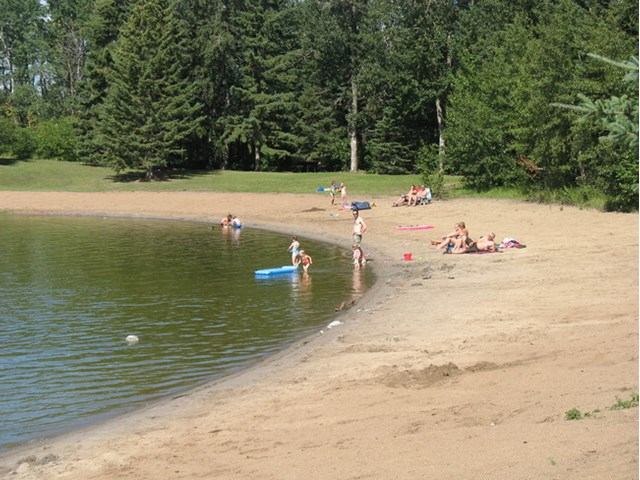 Sandy lakeshore beach with people wading and swimming, evergreen trees behind.