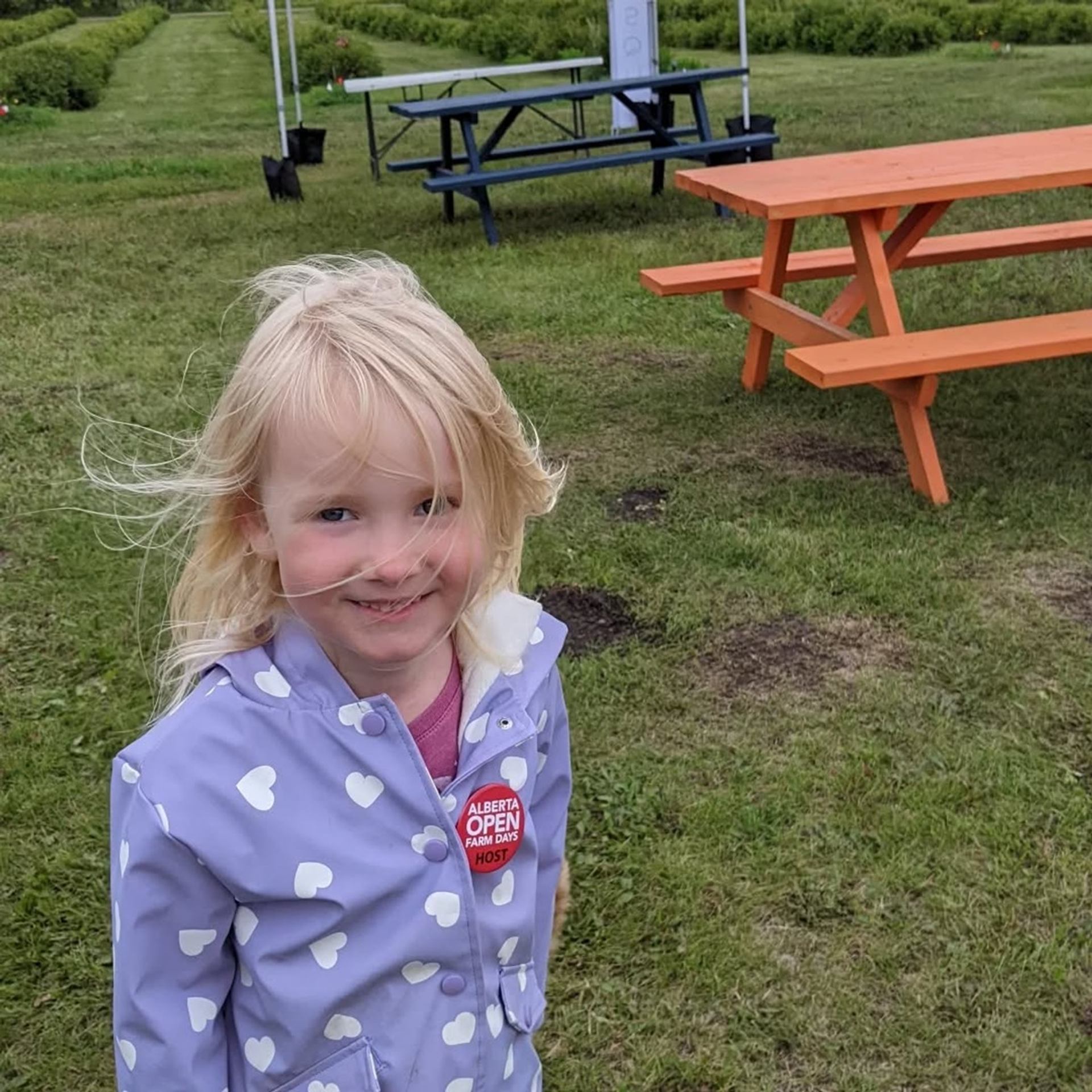 Reveresque welcomes families to an open orchard space with picnic tables and green grass.