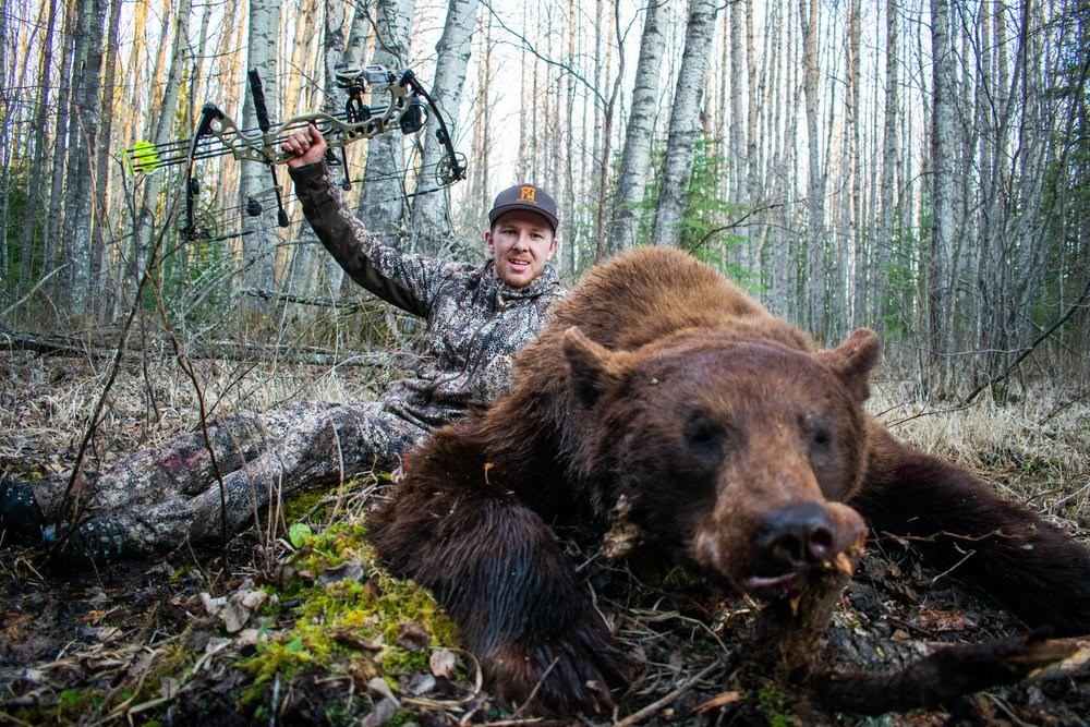 Person in camouflage holds compound bow behind bear lying on forest floor.