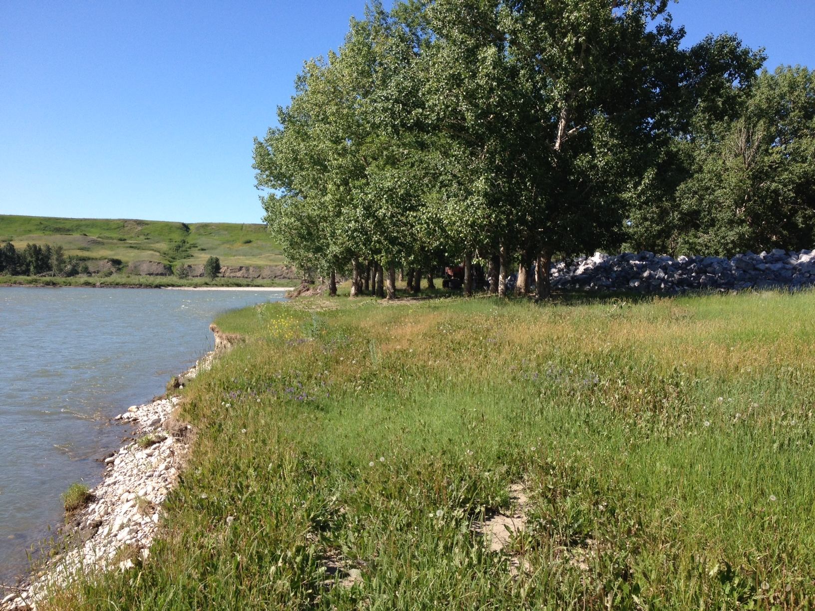 River flowing past a rocky, grassy bank with a line of trees, distant green hills, and a clear blue sky. A pile of rocks is visible behind the trees.