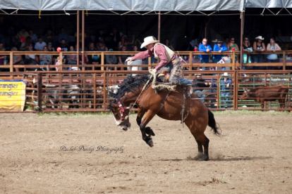 Wildrose Rodeo at Spuce Point Park | Canada's Alberta