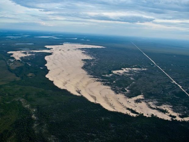 Aerial photo of the Athabasca Dunes Ecological Reserve in Alberta.