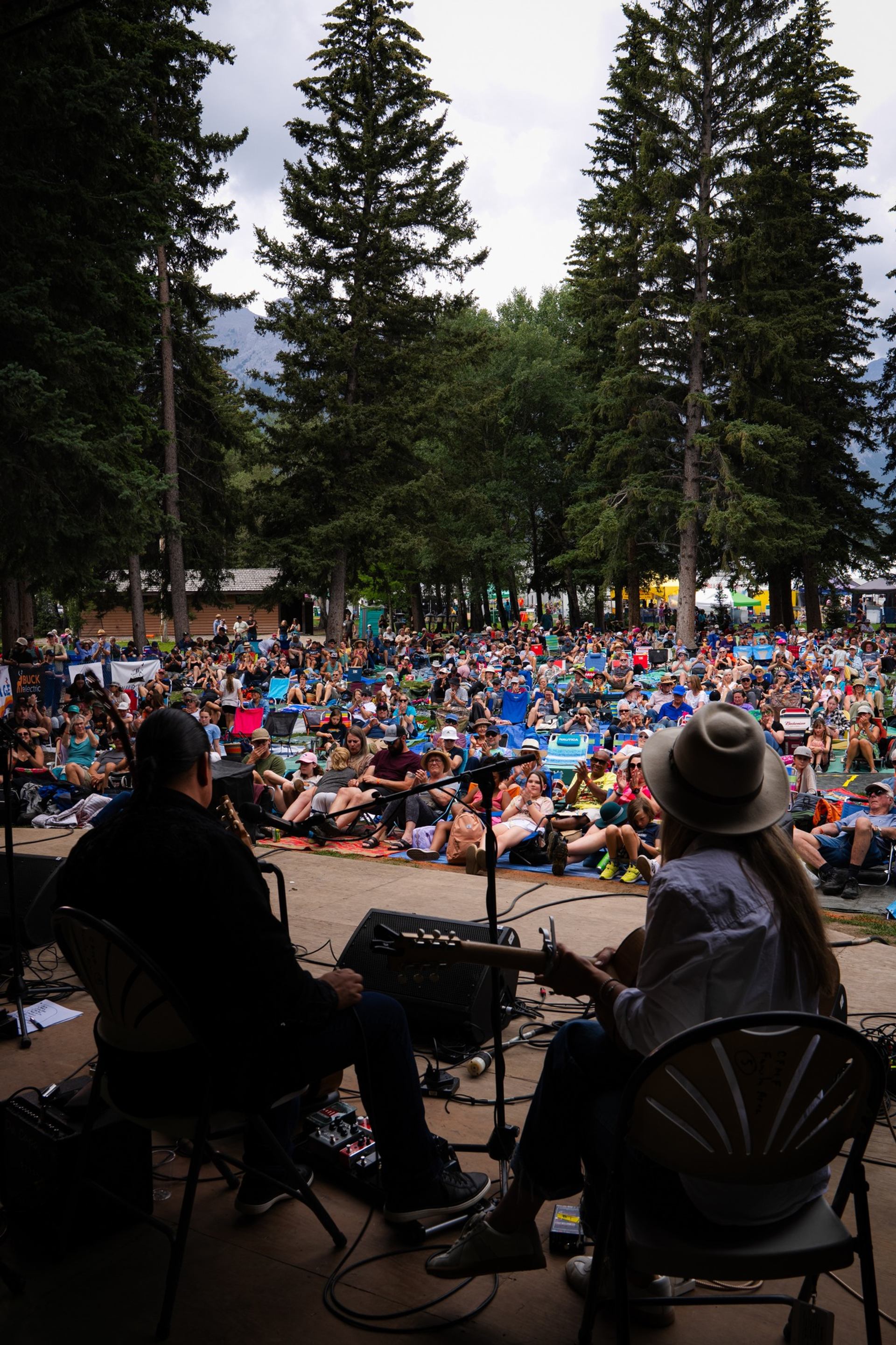 Musicians on outdoor stage perform for large seated crowd among tall evergreen trees