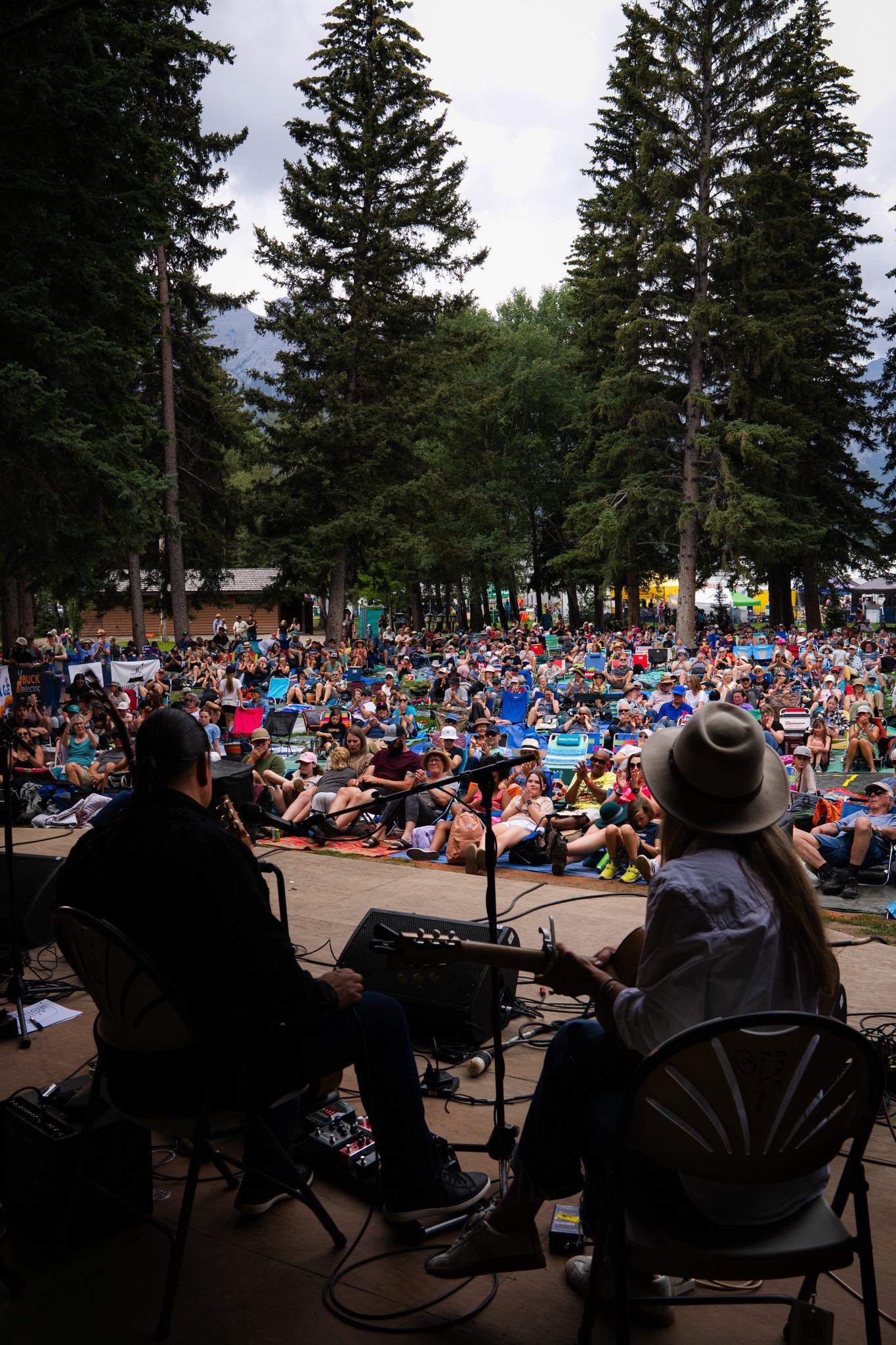 Musicians on outdoor stage perform for large seated crowd among tall evergreen trees