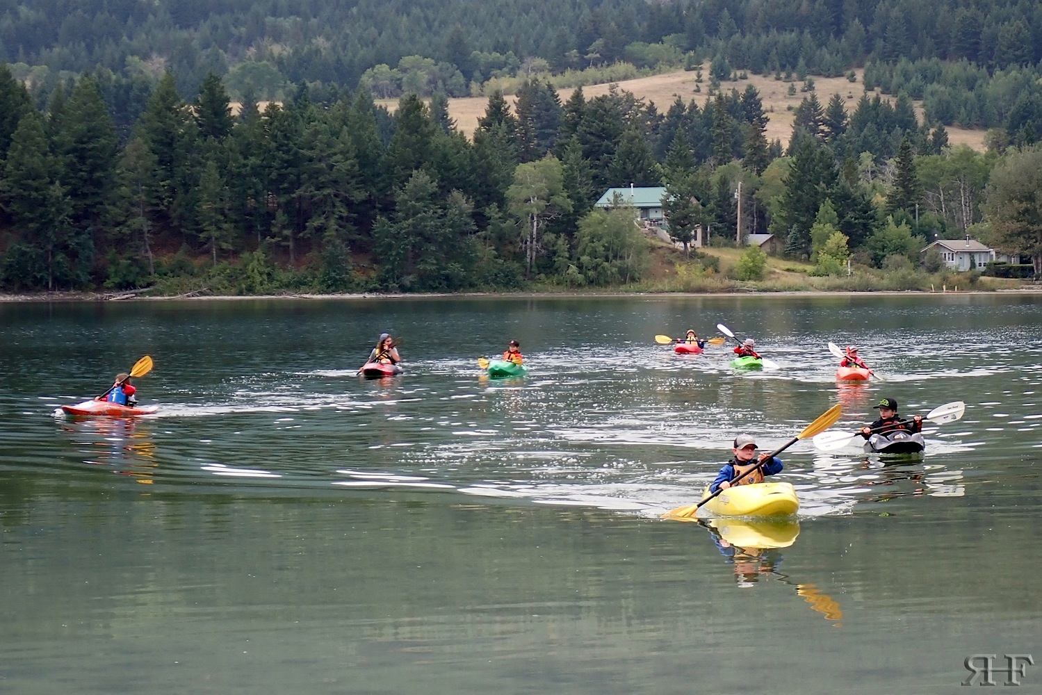 Several kayakers gliding across a calm lake surrounded by trees and hills.