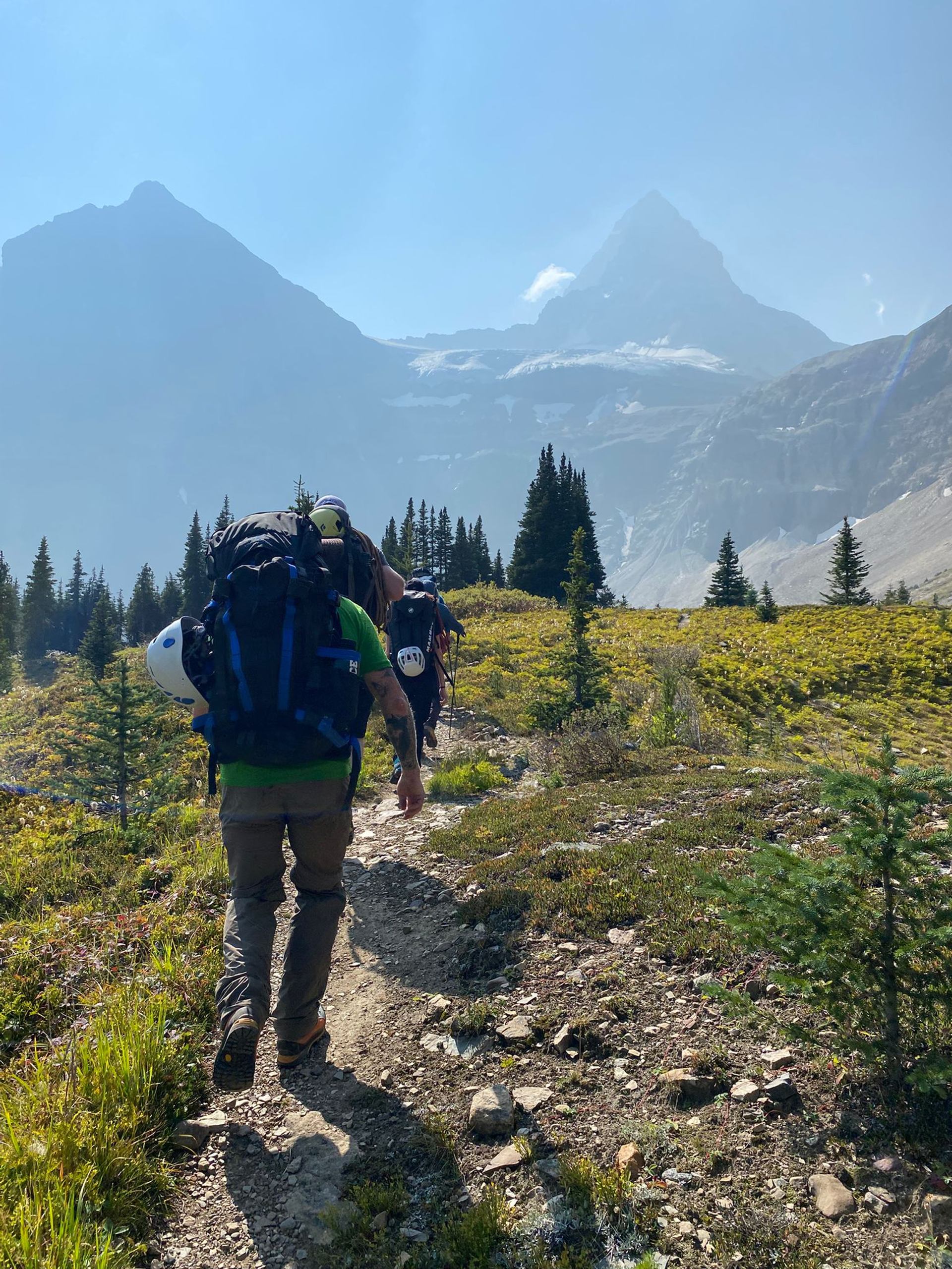 Hikers trekking through lush mountain trail with snow-capped peaks in background.