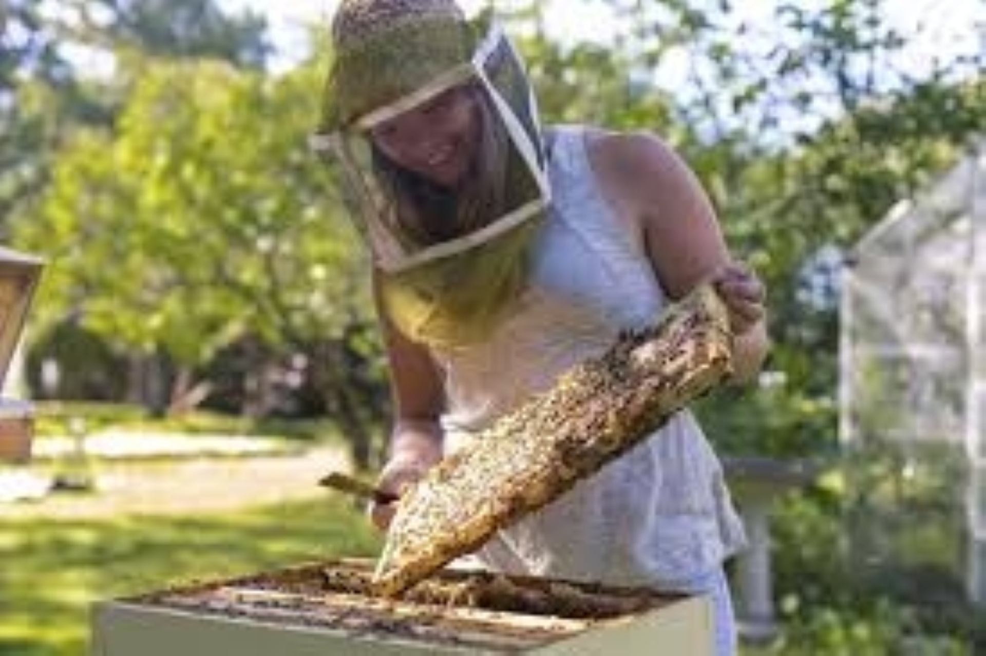 with Eliese Watson of ABC Bees - renowned bee educator