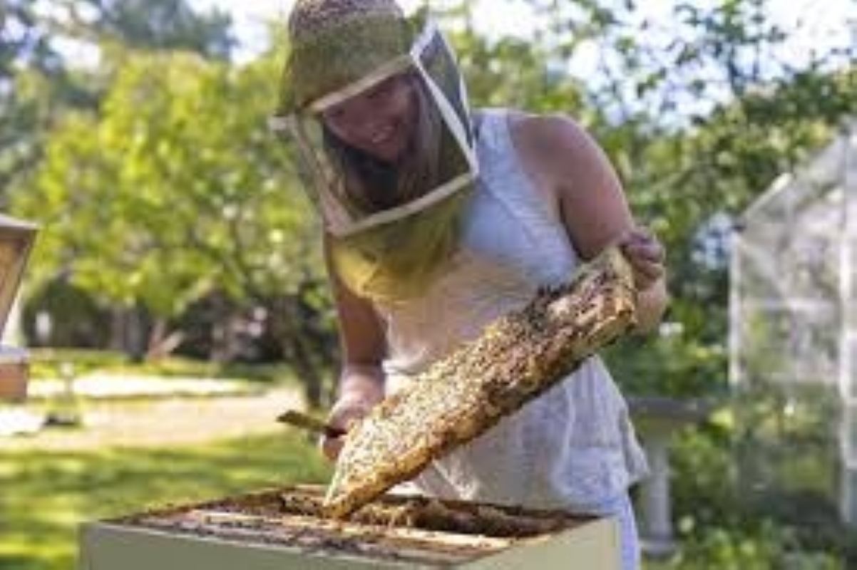 with Eliese Watson of ABC Bees - renowned bee educator