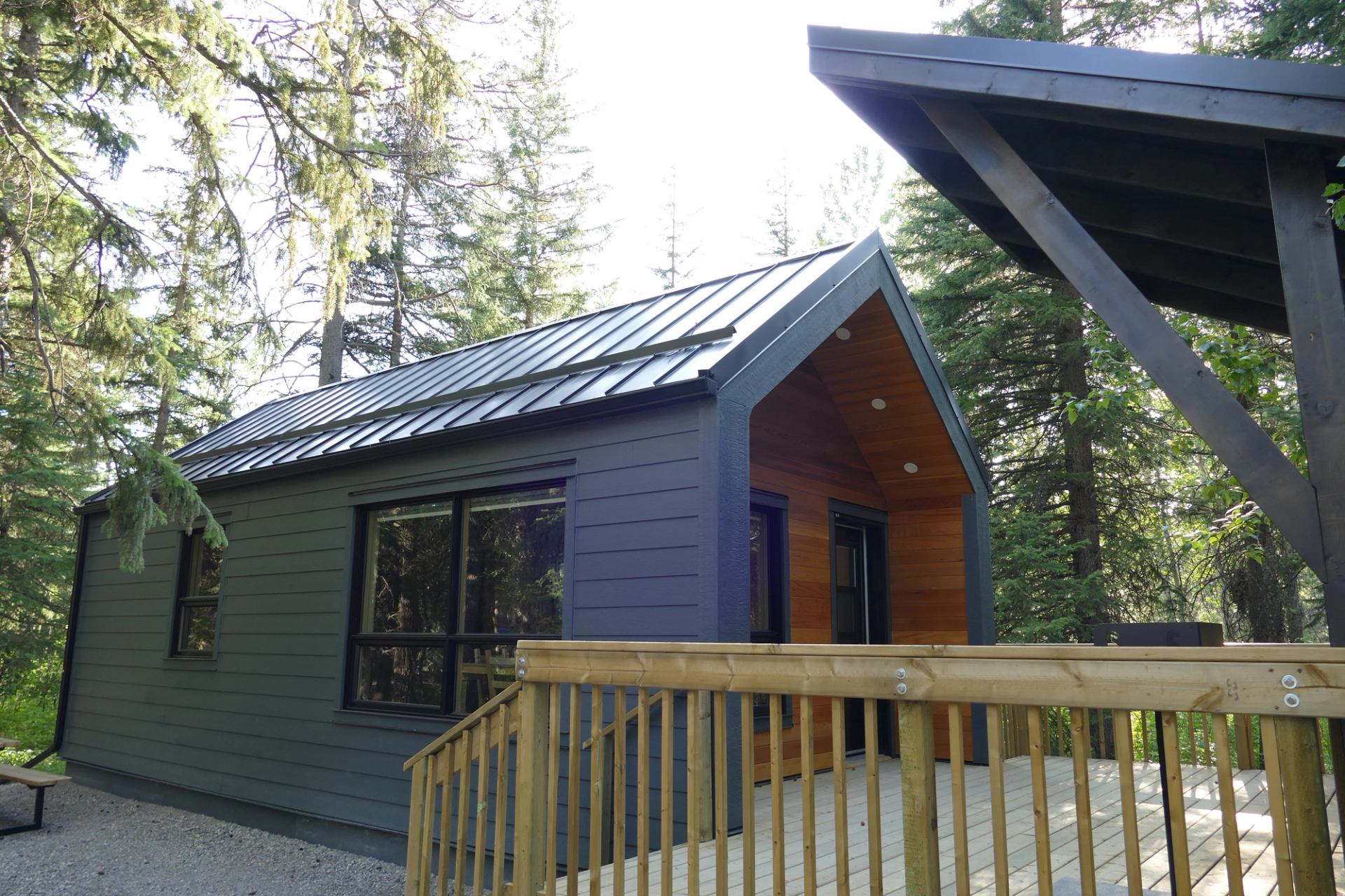 Small modern cabin with metal roof and wooden deck surrounded by tall evergreen trees.