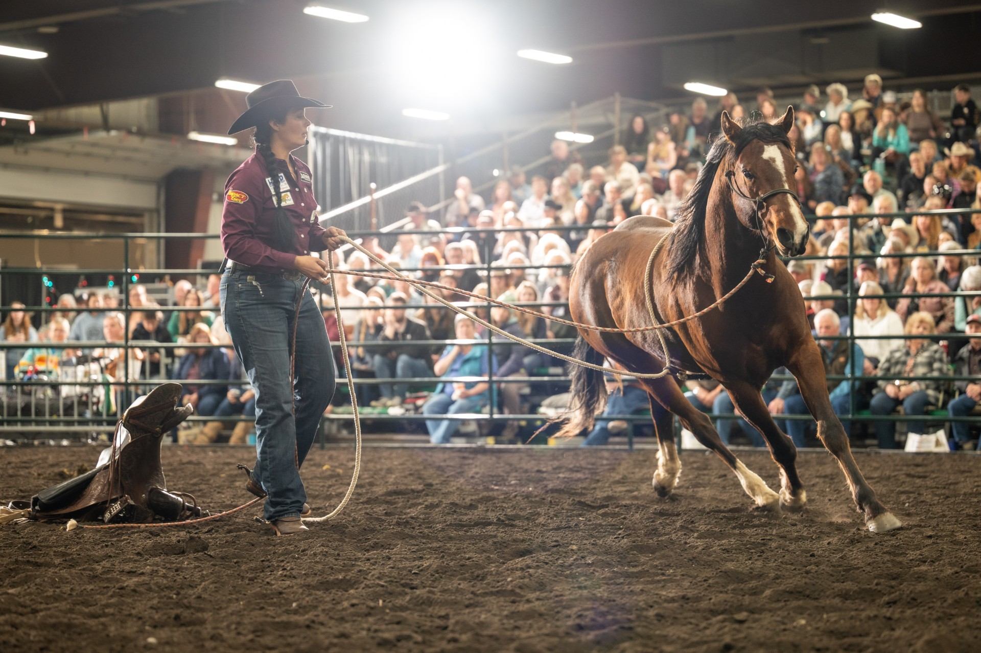 Horse trainer in arena lunges brown horse on long line before seated crowd.