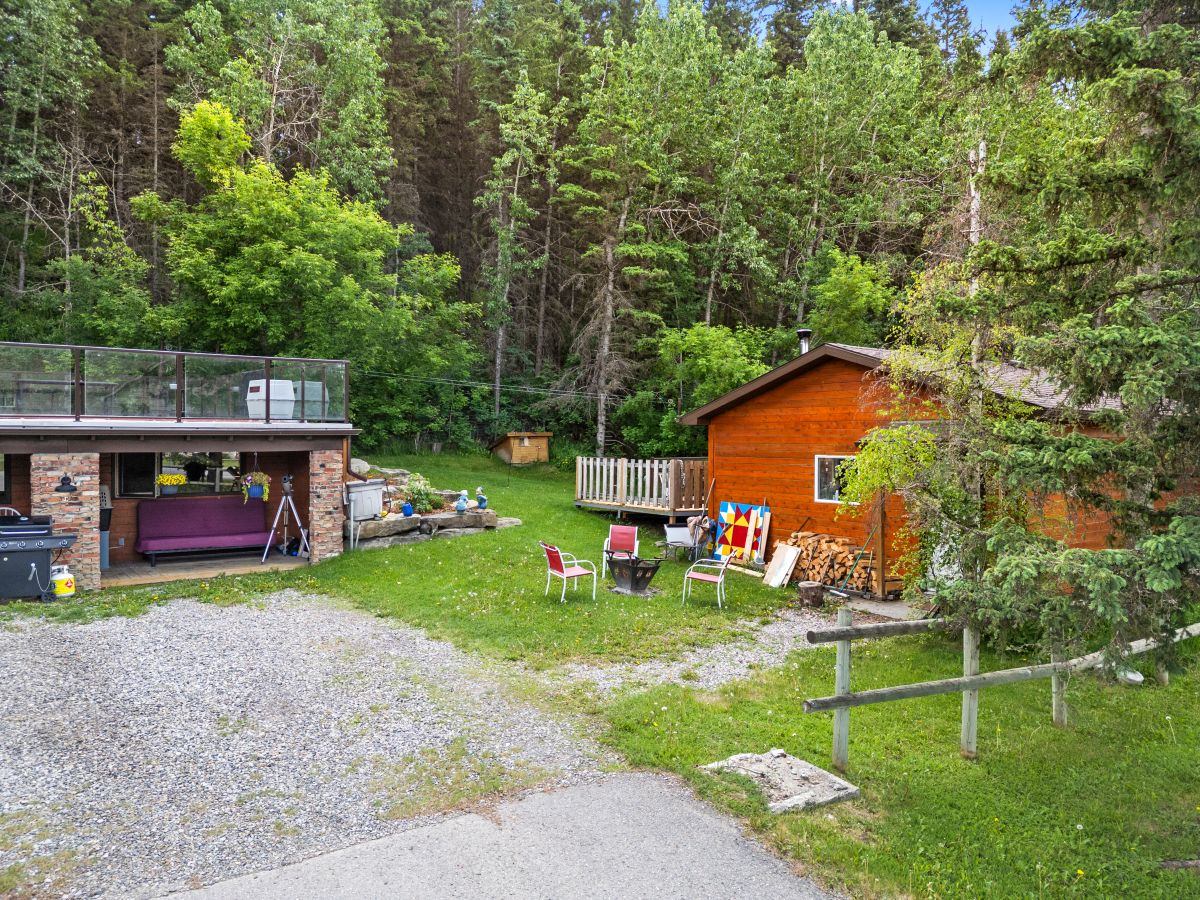 Rustic cabin and patio area surrounded by lush trees and greenery.
