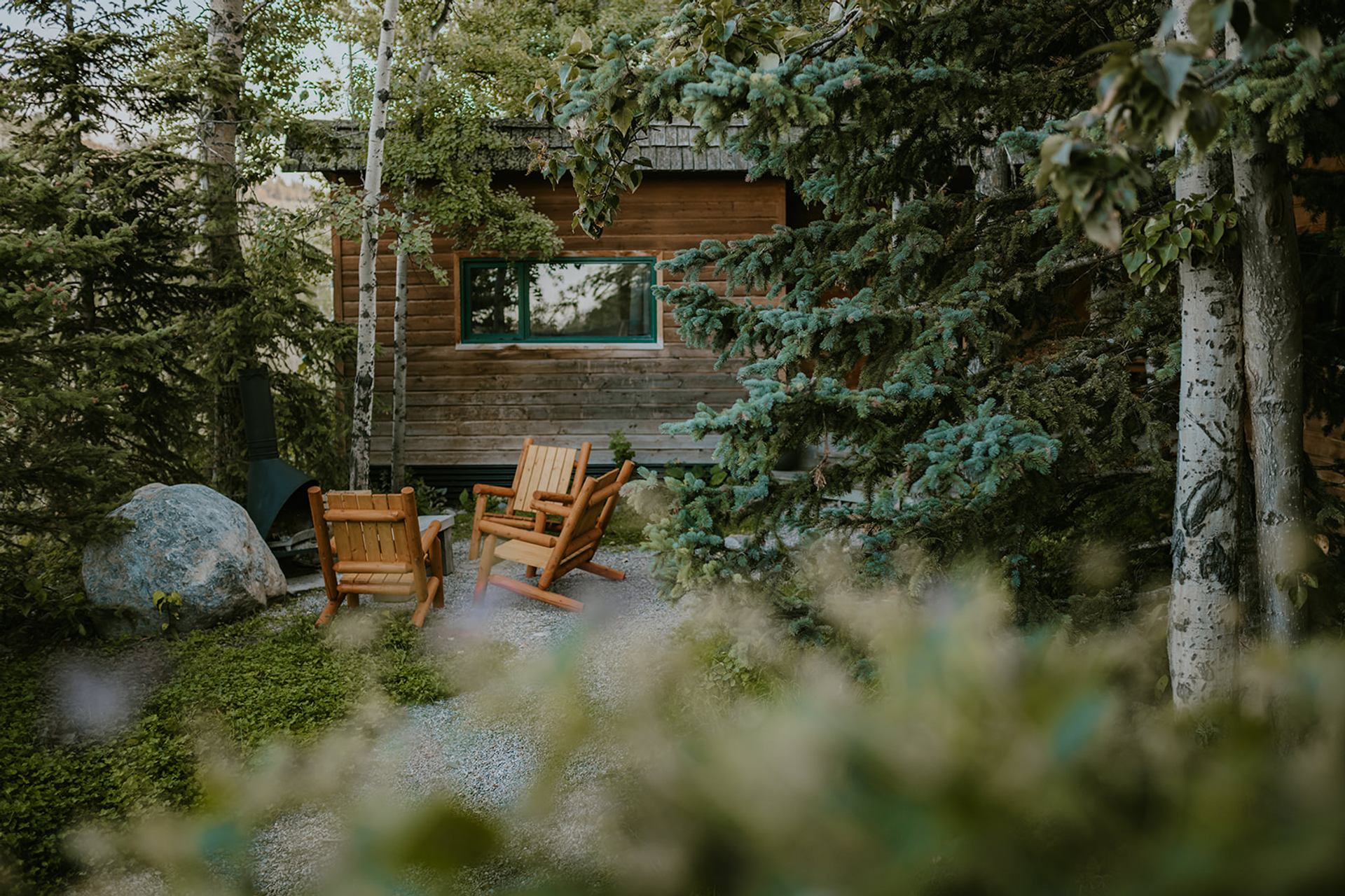 Wooden chairs sit among evergreen and birch trees beside a rustic cabin.