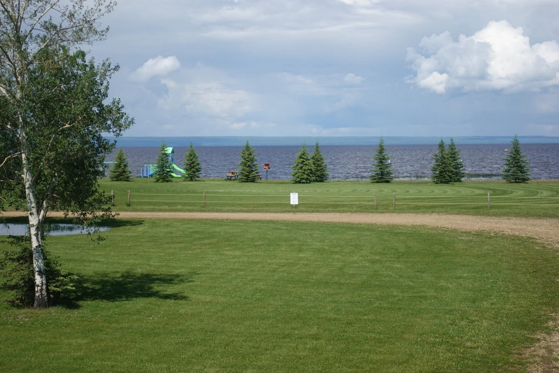 A grassy area with pine trees and a park with a lake in the background.