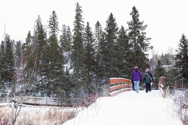 A couple cross a bridge in winter, while exploring Kerry Wood Nature Centre trail in Red Deer