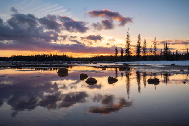 Scenic reflection shot of lake in Wood Buffalo National Park.