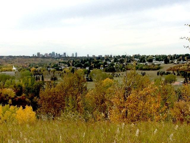 A distant city skyline rises beyond rolling hills and autumn trees.