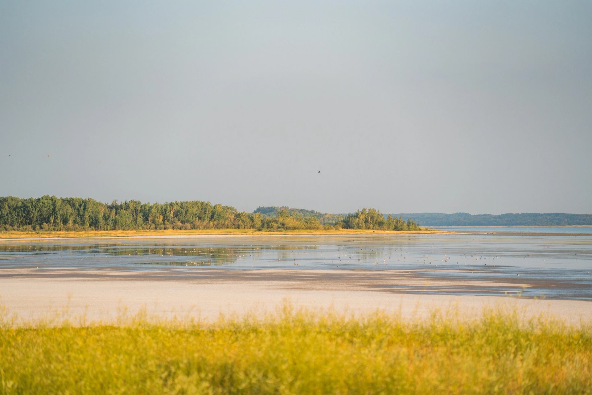 Red Deer Lake.