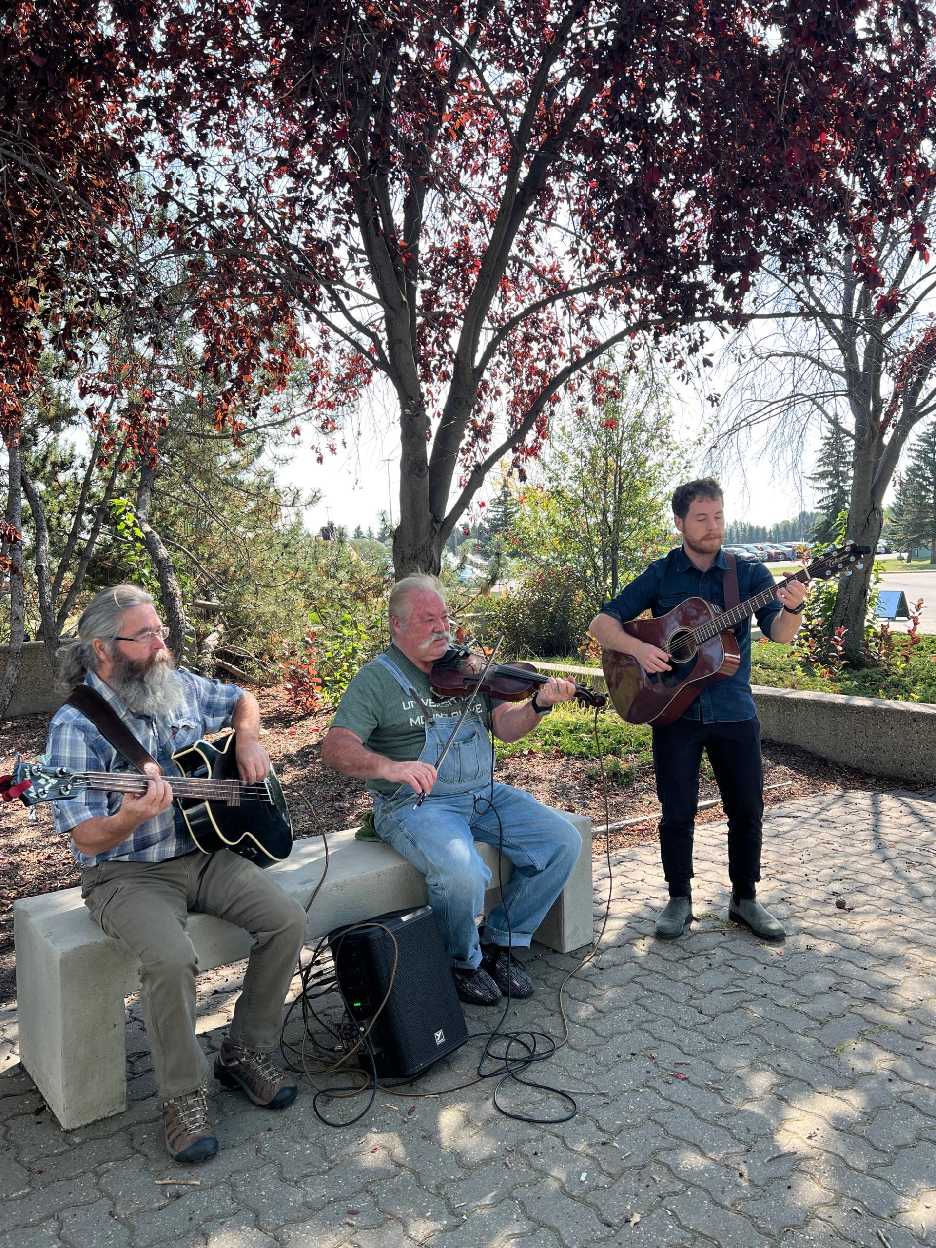 Three musicians playing guitar and fiddle outdoors under leafy trees.