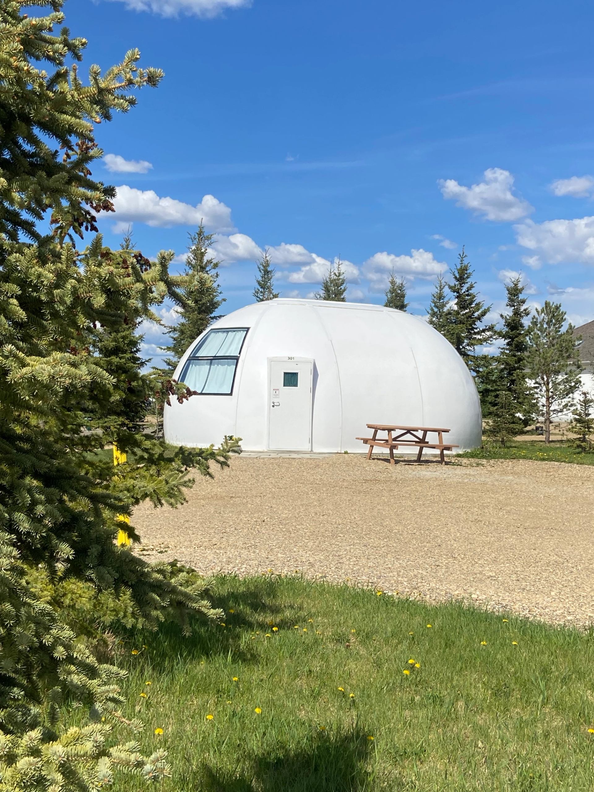 A modern white hardshell glamping dome featuring a large window, paired with an outdoor picnic table.