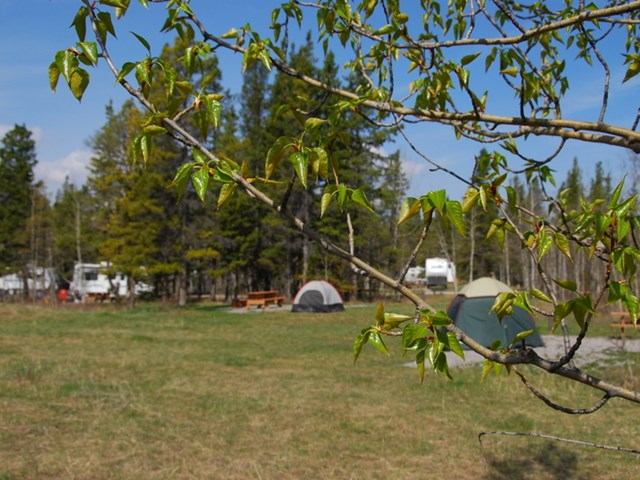 Campsites with tents