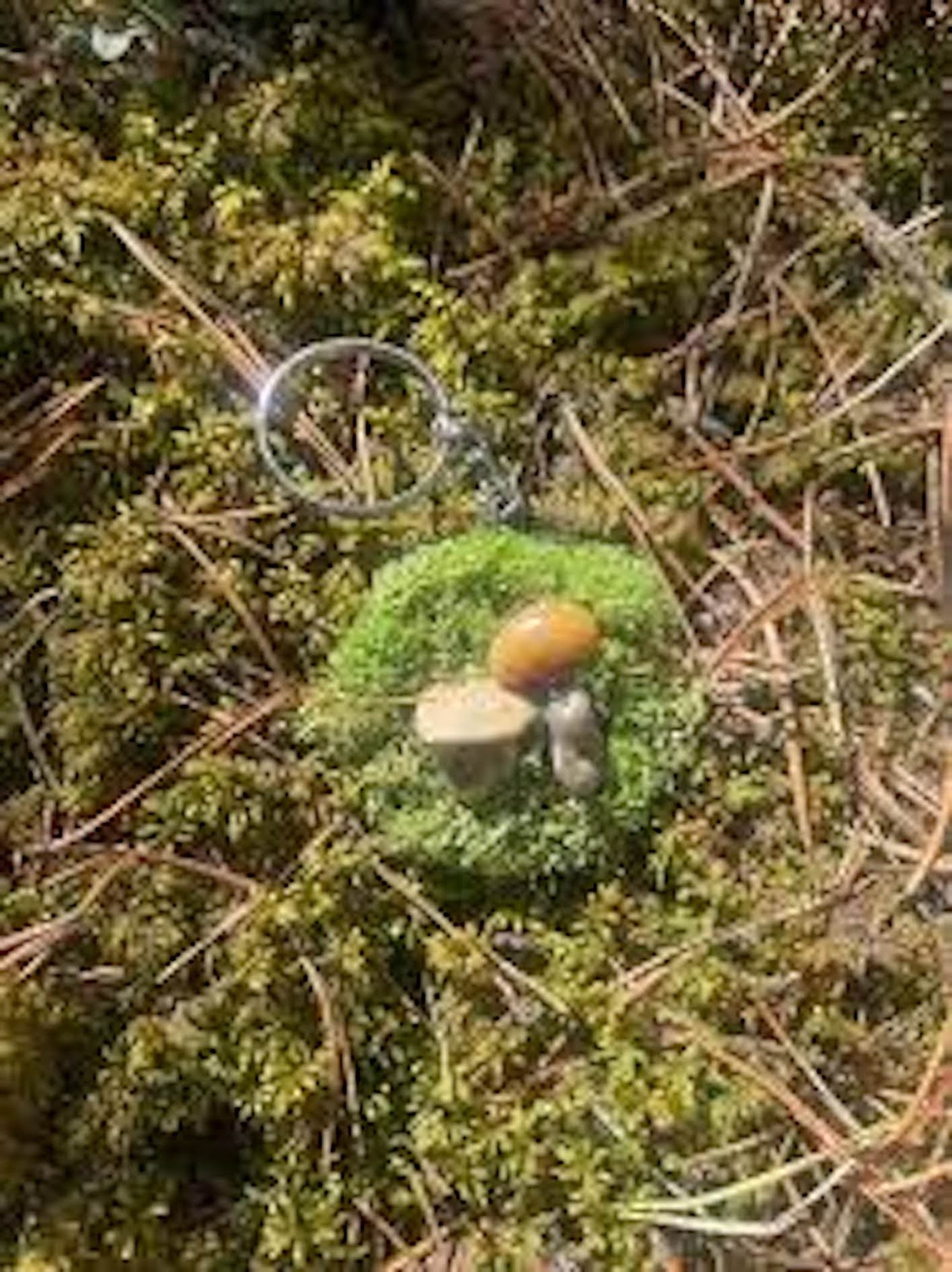 Mossy keychain with two mushrooms resting on dried grass and twigs.