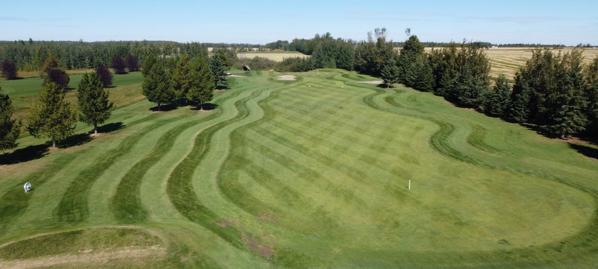 A golf course with wavy mowing patterns on the fairways and green, surrounded by trees under a clear sky.