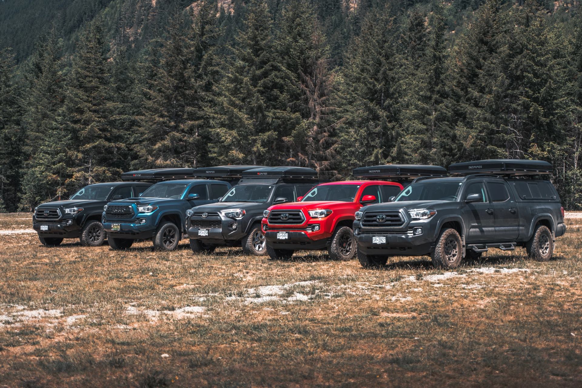 Five rugged trucks with roof gear parked in an open field near a forest backdrop.