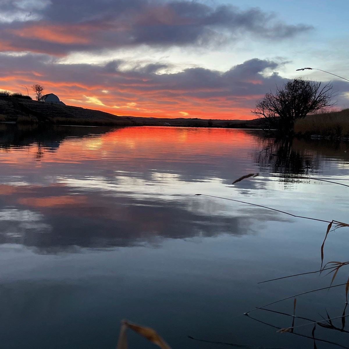 Sunset casts orange and purple hues over a calm lake, with silhouetted trees framing the peaceful scene.
