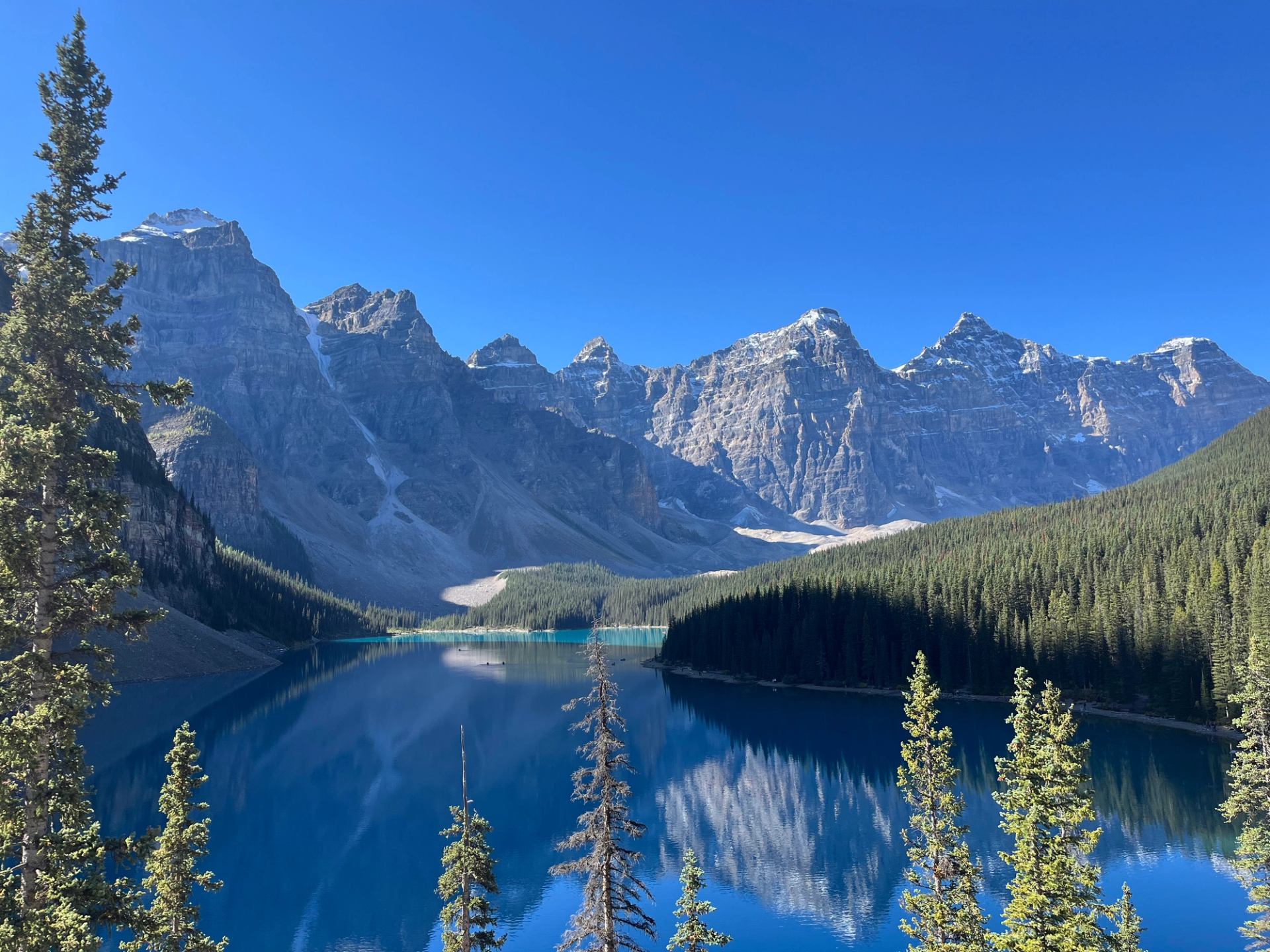 Still waters of Moraine Lake reflecting mountains and trees on a clear day.