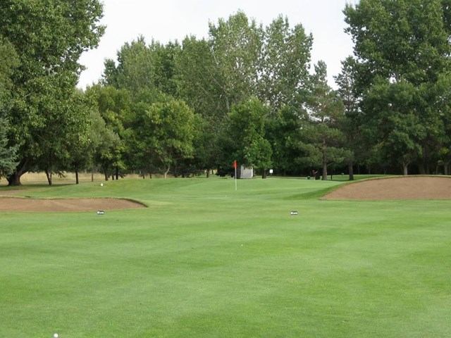 Golf course with sand bunkers, flagstick, and lush greenery surrounded by tall trees.