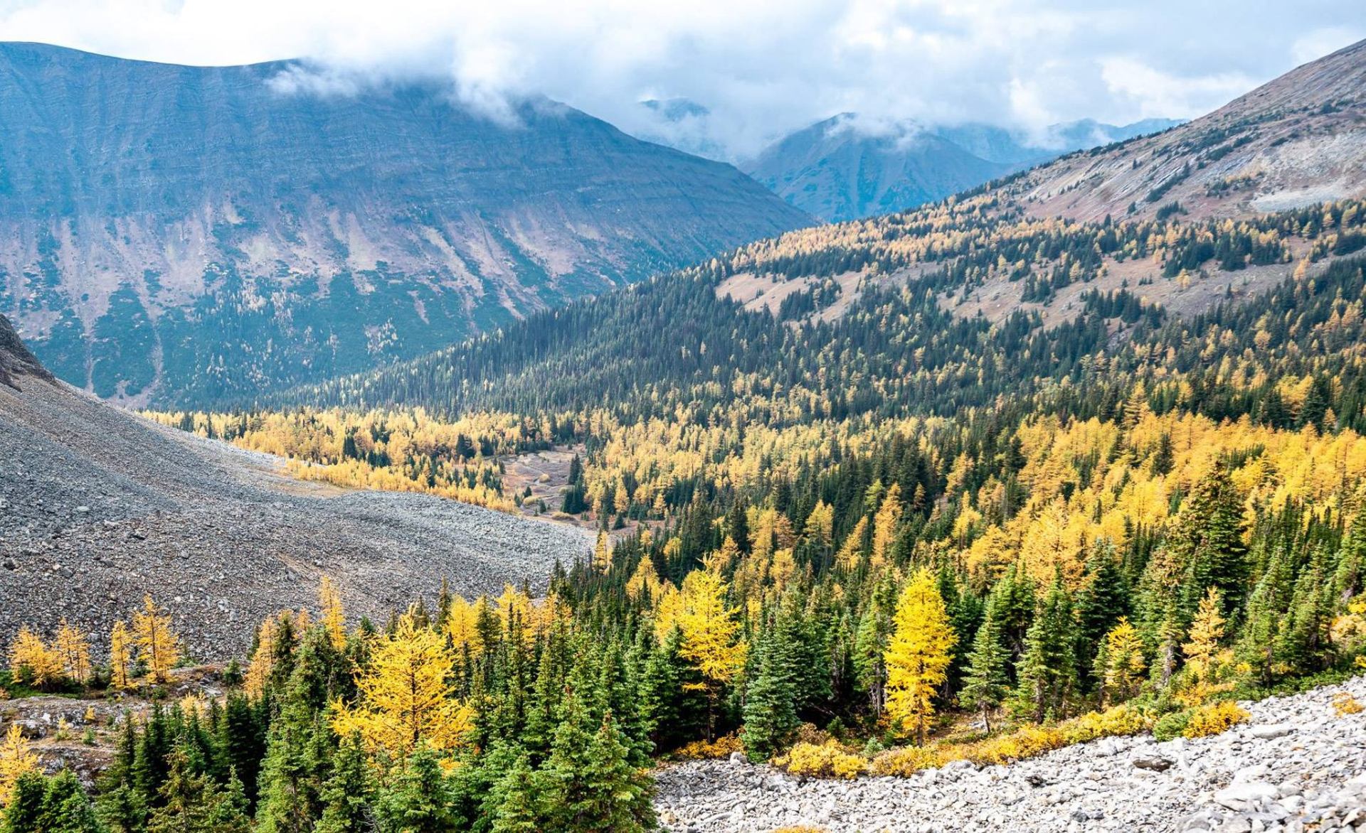 Mountain valley with dense green and yellow forest below rocky slopes and clouds.