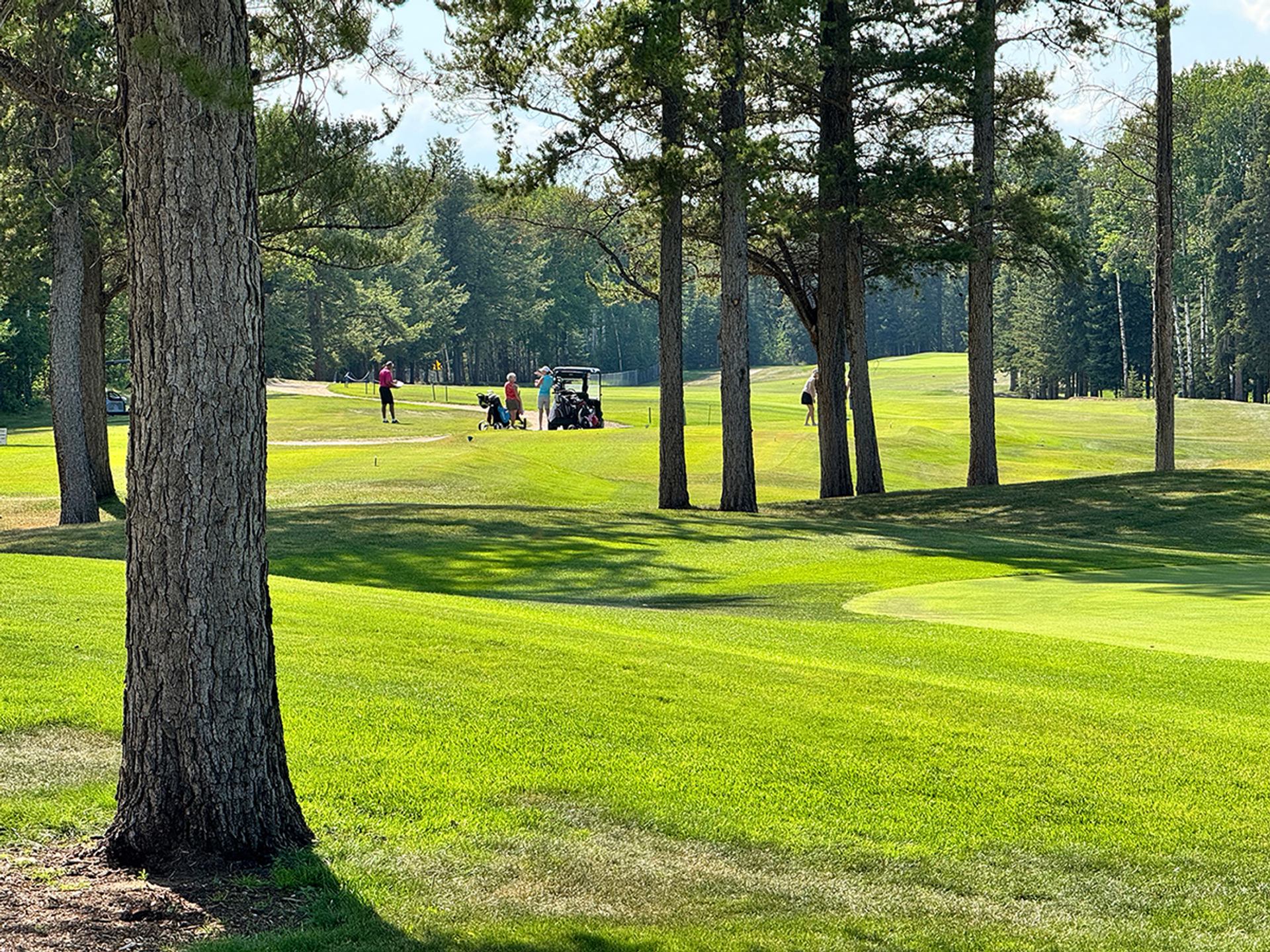 Golfers on a sunlit fairway at The Dunes Golf & Winter Club surrounded by trees and rolling greens.