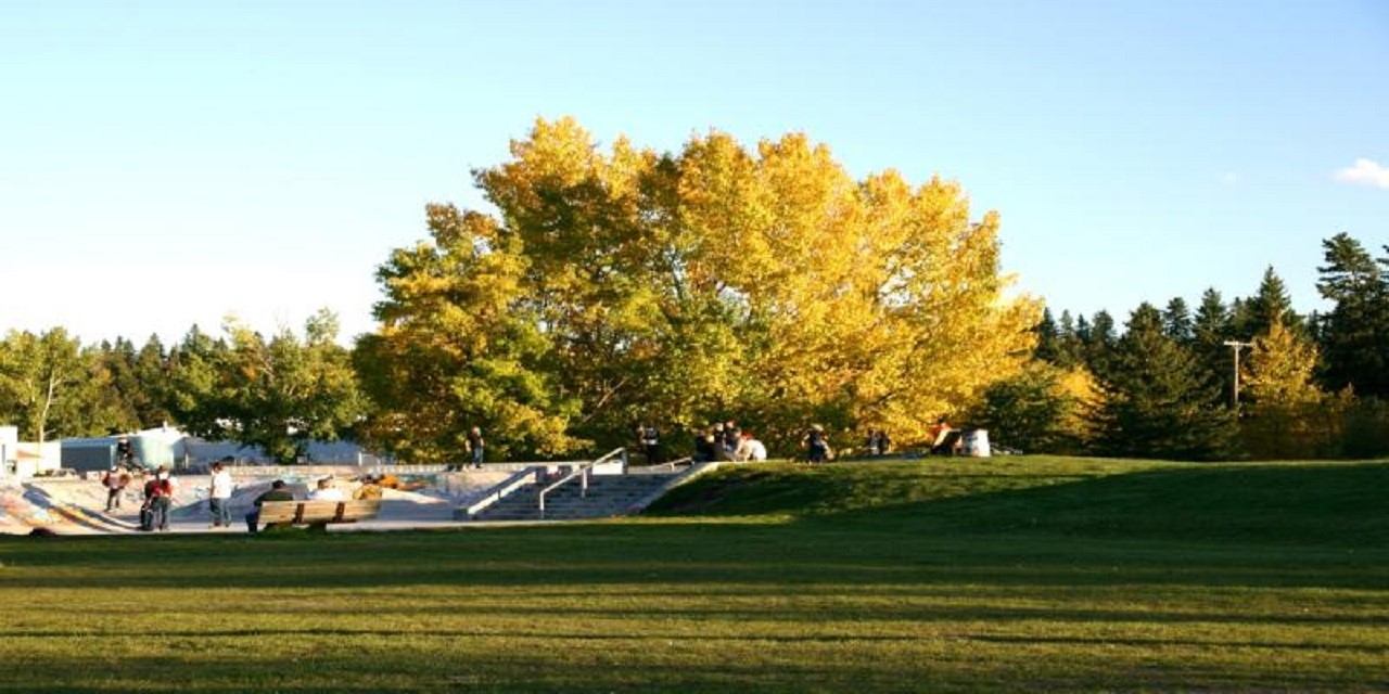 Skatepark ramps beside grassy field, with people and yellow-leaved trees in background.