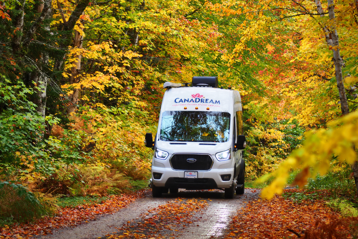 CanaDream RV driving through forest road lined with colorful autumn trees.