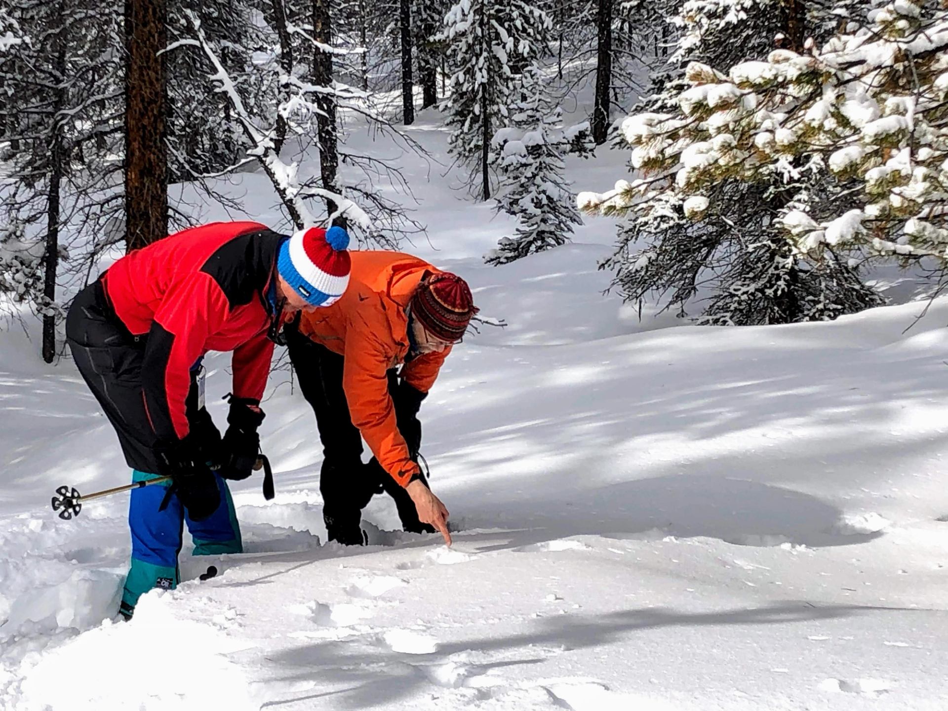 Guide and guest examining fresh lynx tracks in powder snow.