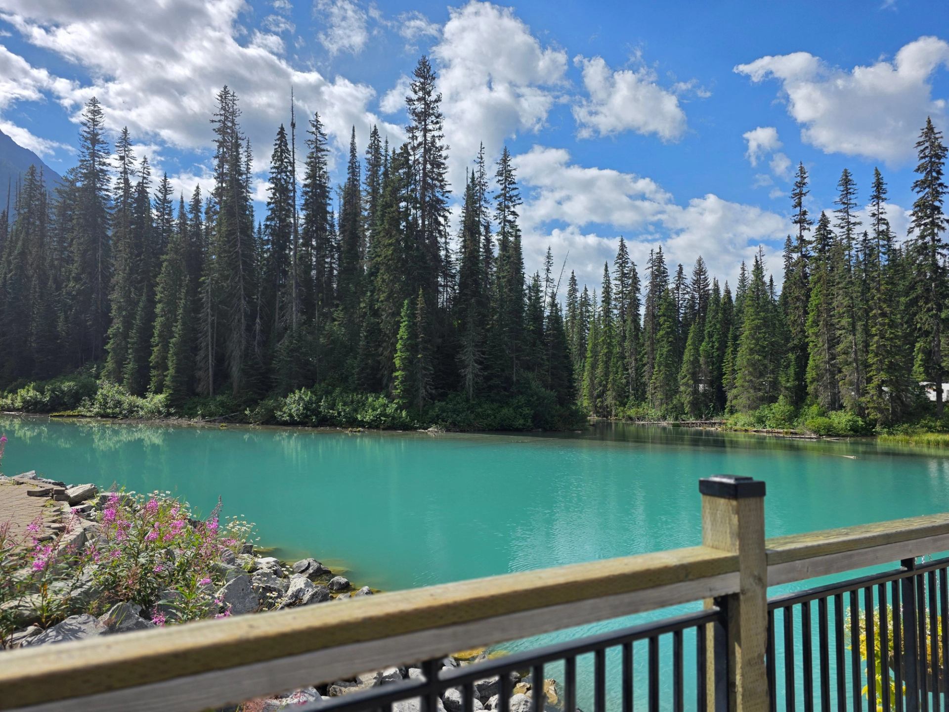 Turquoise lake bordered by evergreen forest, seen from wooden railing with wildflowers.