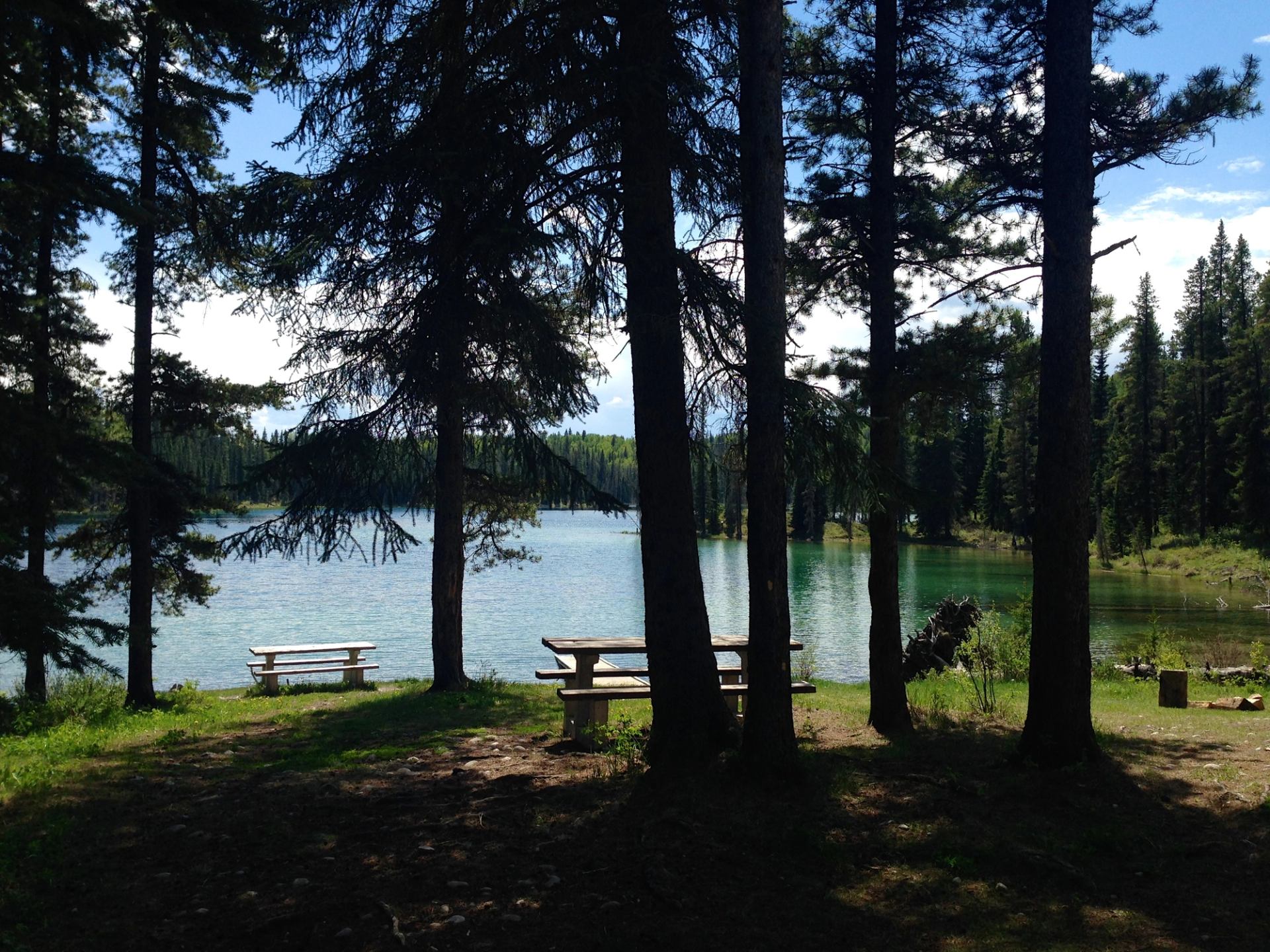 Forest picnic area with wooden tables beside a calm, blue-green lake.