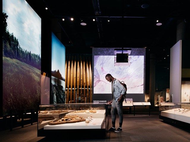 Man looking at an exhibit at the Royal Alberta Museum.