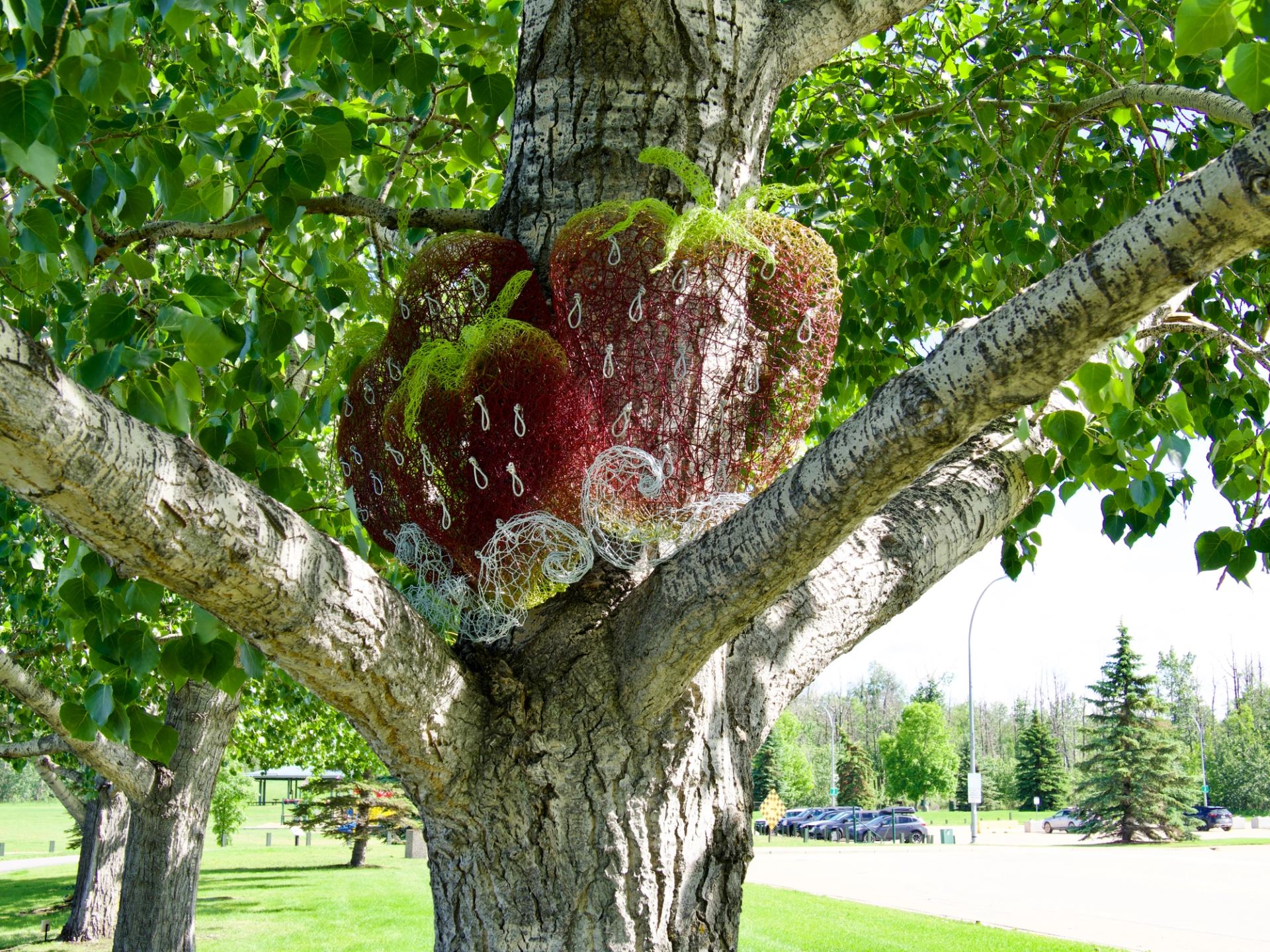 Large wire strawberry sculptures attached to a leafy tree in a grassy park.