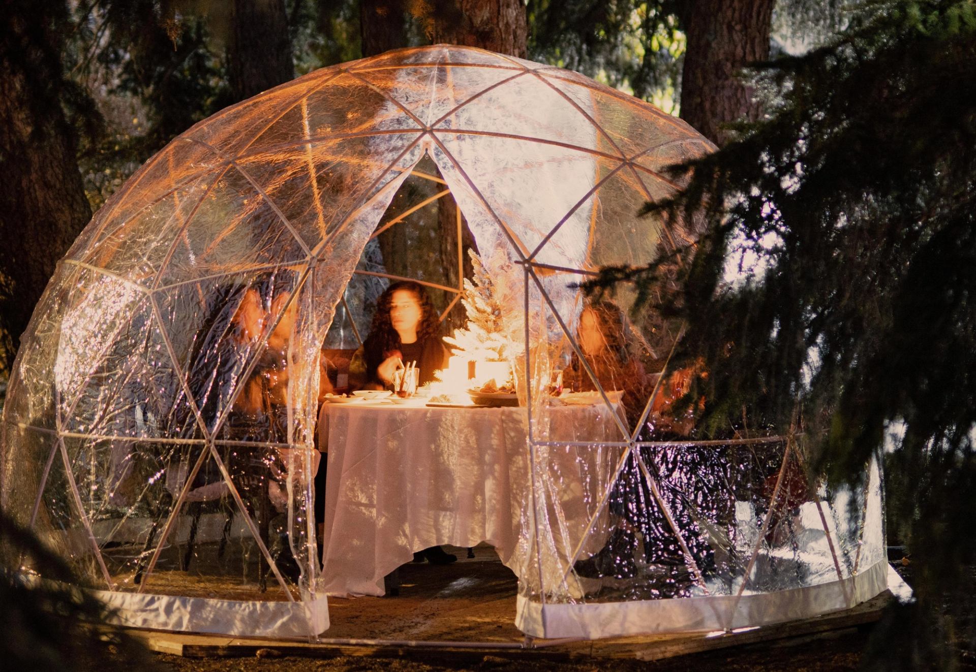 Transparent dome with a dining table inside, softly lit among trees.