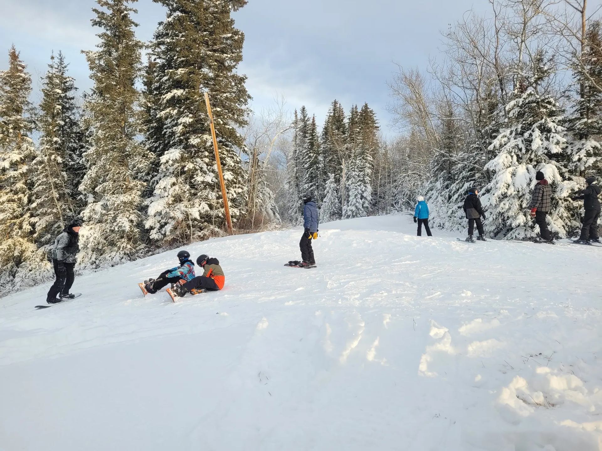 People skiing and snowboarding on a snowy hill with trees in the background.