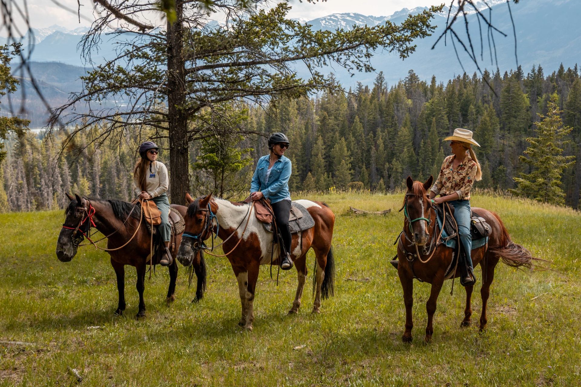 Three people riding horses in a grassy field with trees and mountains.