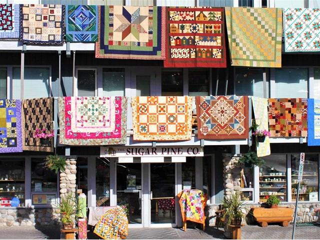 Sugar Pine Co | Canada's Alberta thumbnail