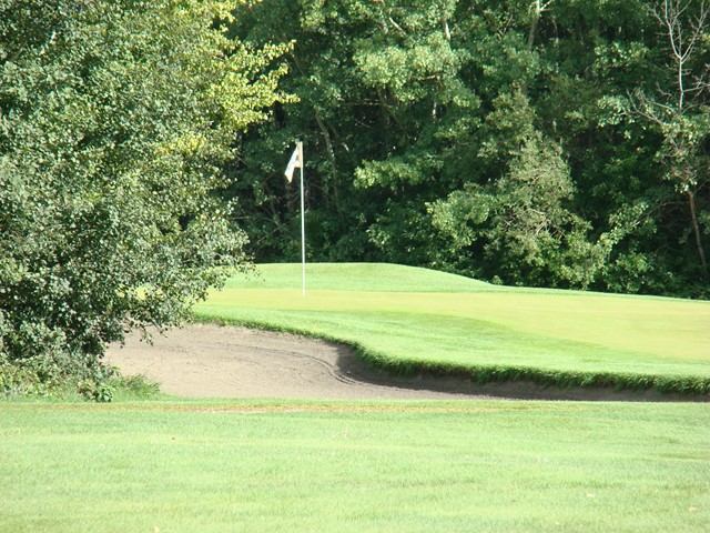 Golf course green with a flag on a tee beside trees and shrubbery.