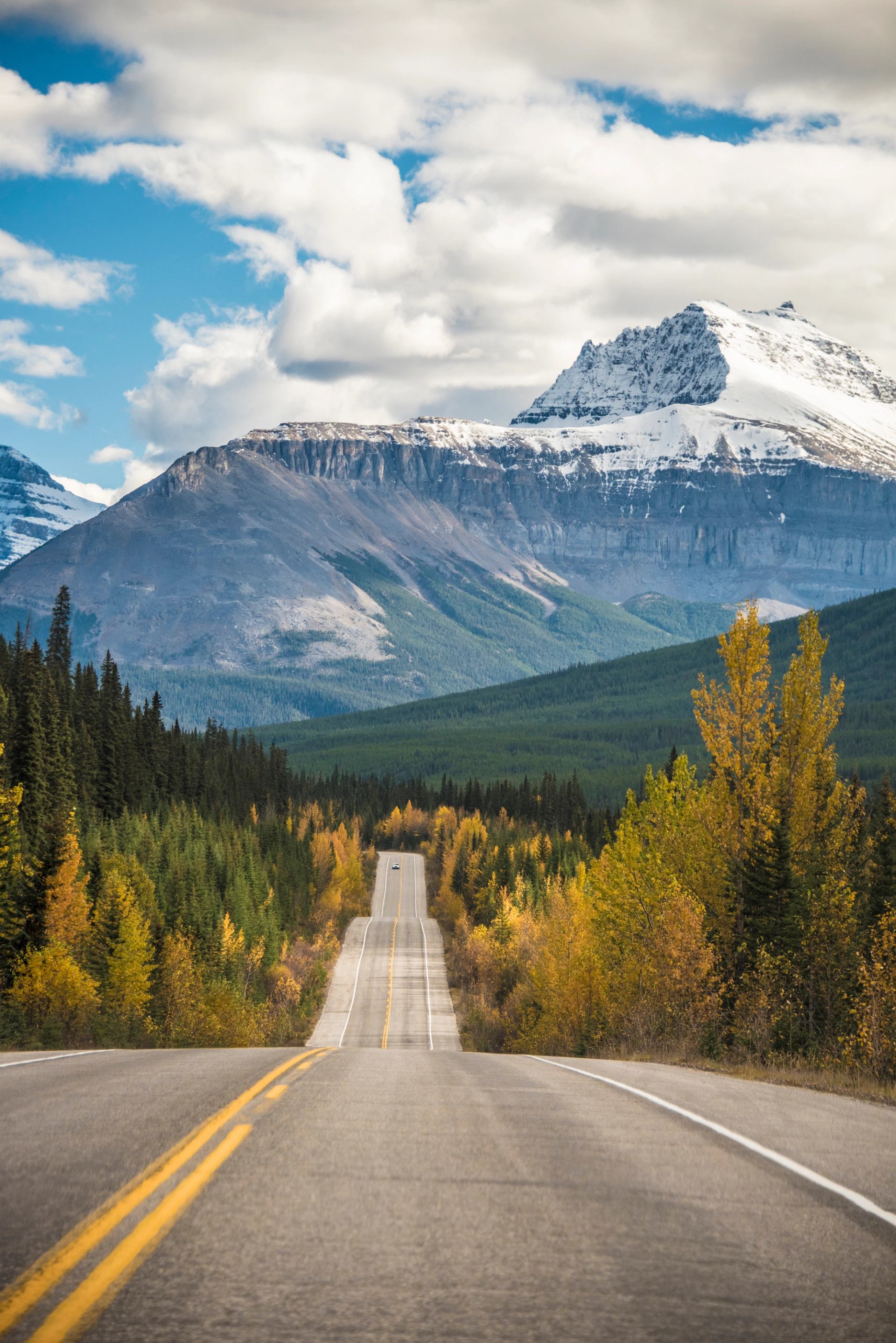 Winding highway crosses a colourful forest toward snow-covered mountains under cloudy skies.