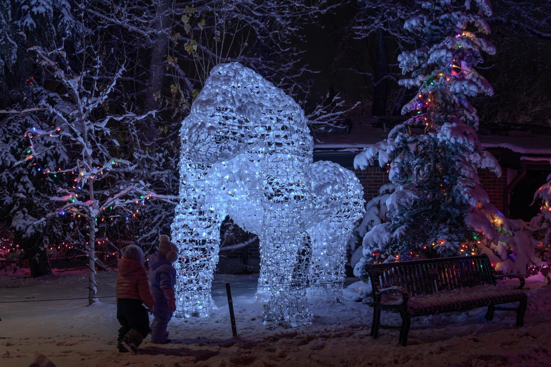 Lighted gorilla sculpture in a snowy park with colorful holiday lights.