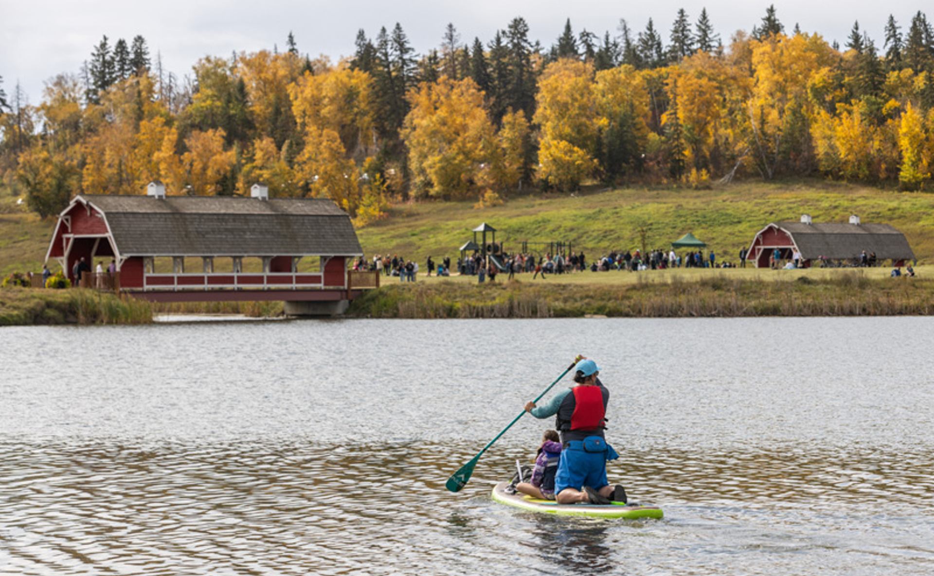 Paddleboarders on calm lake near red barns and playground, trees with yellow foliage behind.